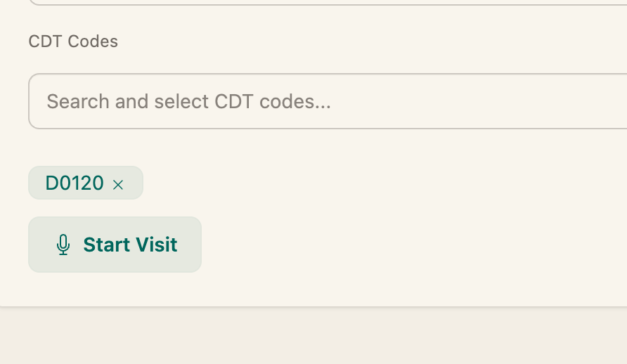 The Start Visit button