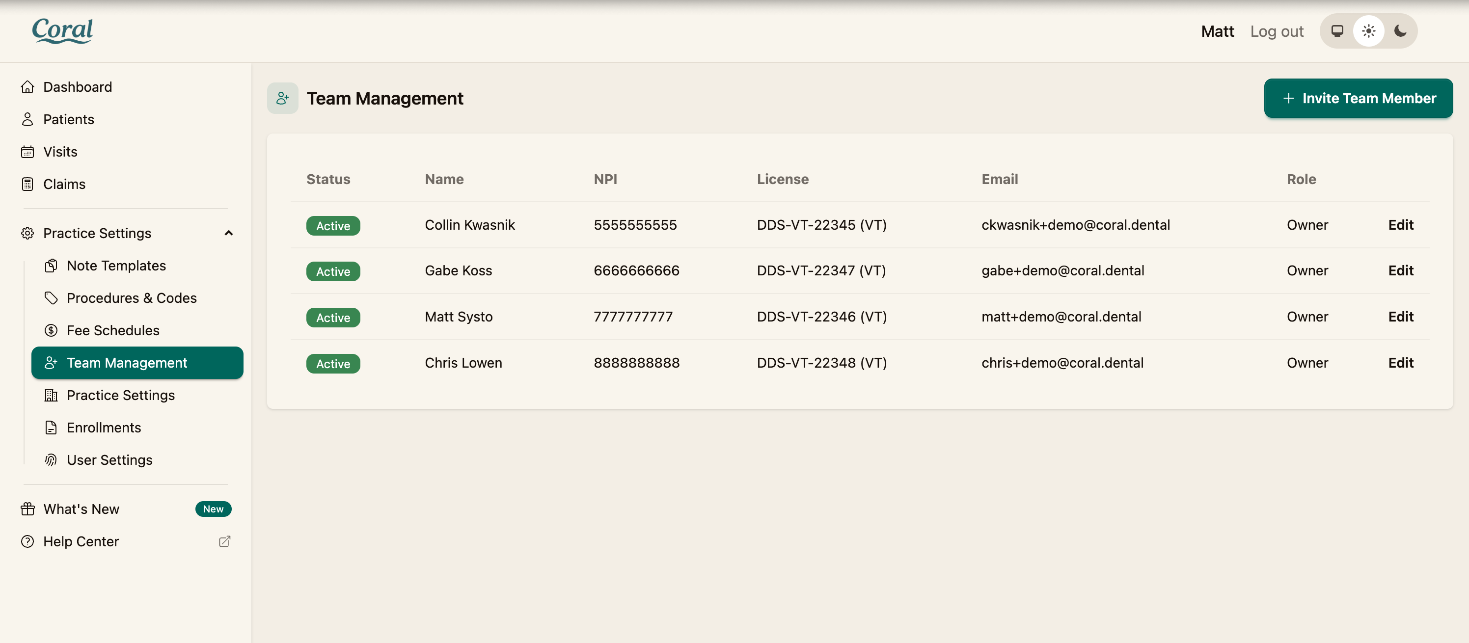 The Team Management list with the Invite Team Member button
