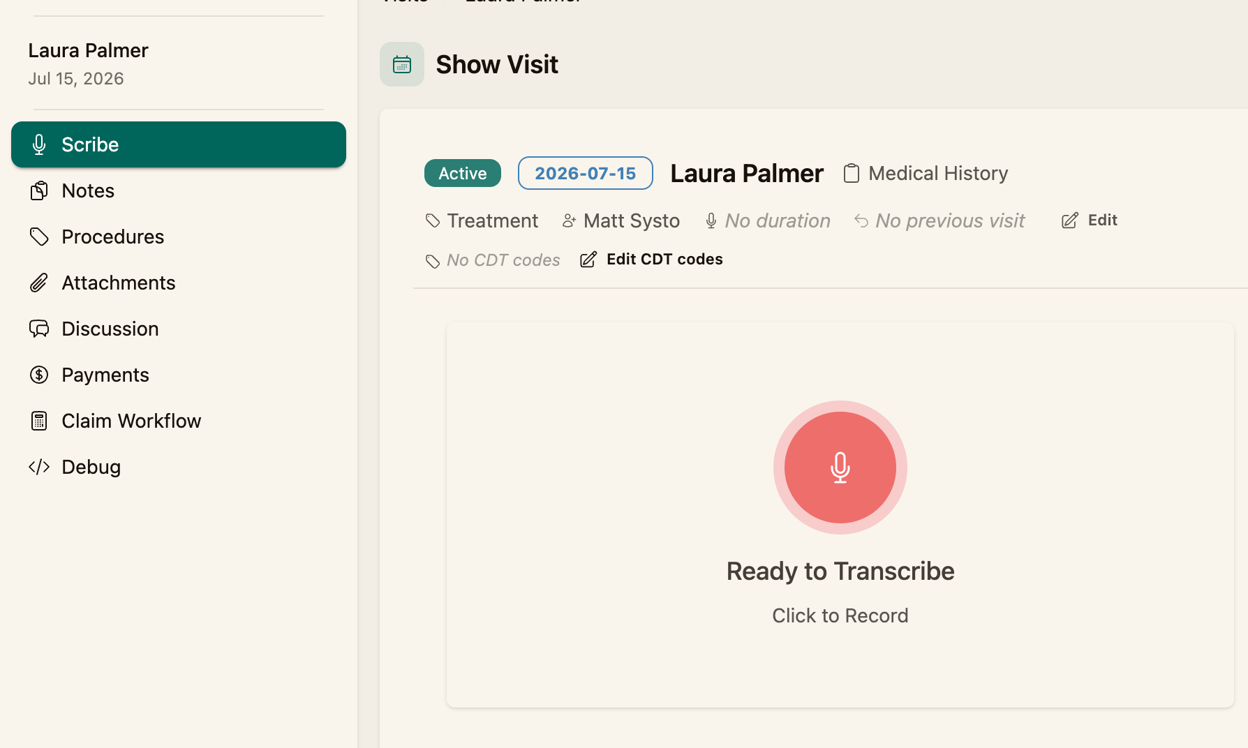 A visit with the Scribe tab selected and the visit header visible